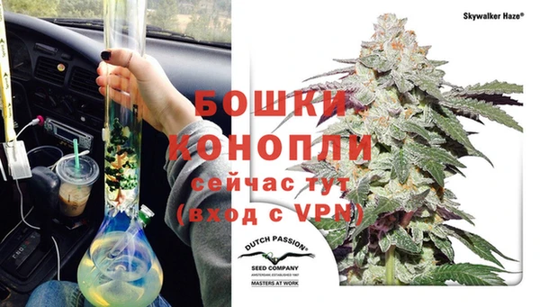 ГАЛЛЮЦИНОГЕННЫЕ ГРИБЫ Балабаново