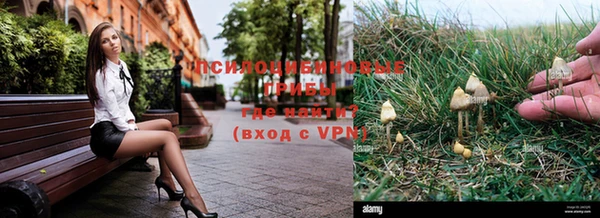 винт Балахна