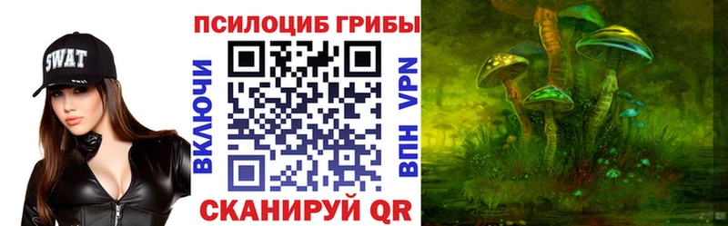 Галлюциногенные грибы Psilocybe  Нерюнгри 