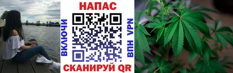 Марихуана тримм  Нерюнгри 